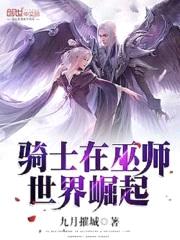 骑士在巫师世界崛起