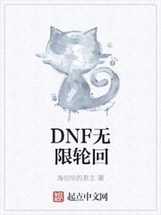 dnf无限轮回第10章